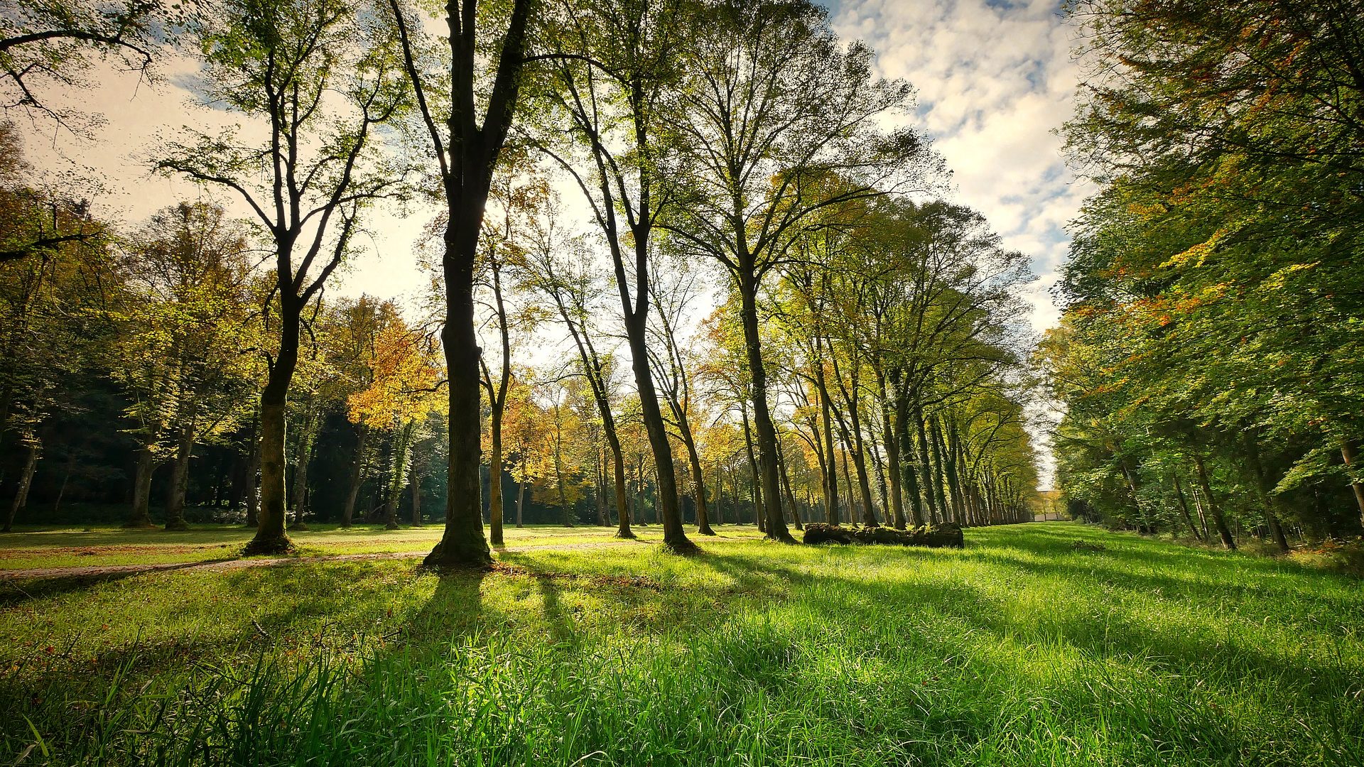 Parc de Bournat en Dordogne