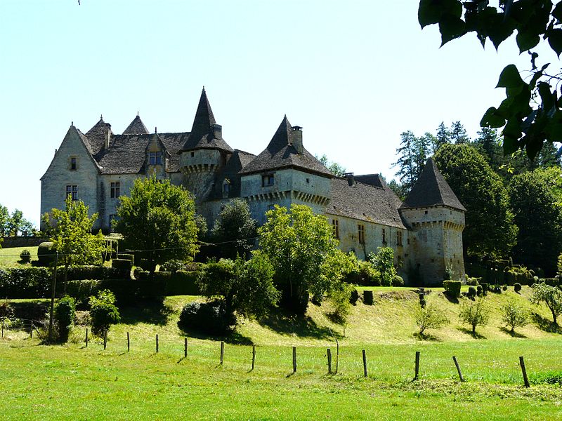 Camping_proche_de_Saint-Amand-de-Coly_en_Dordogne