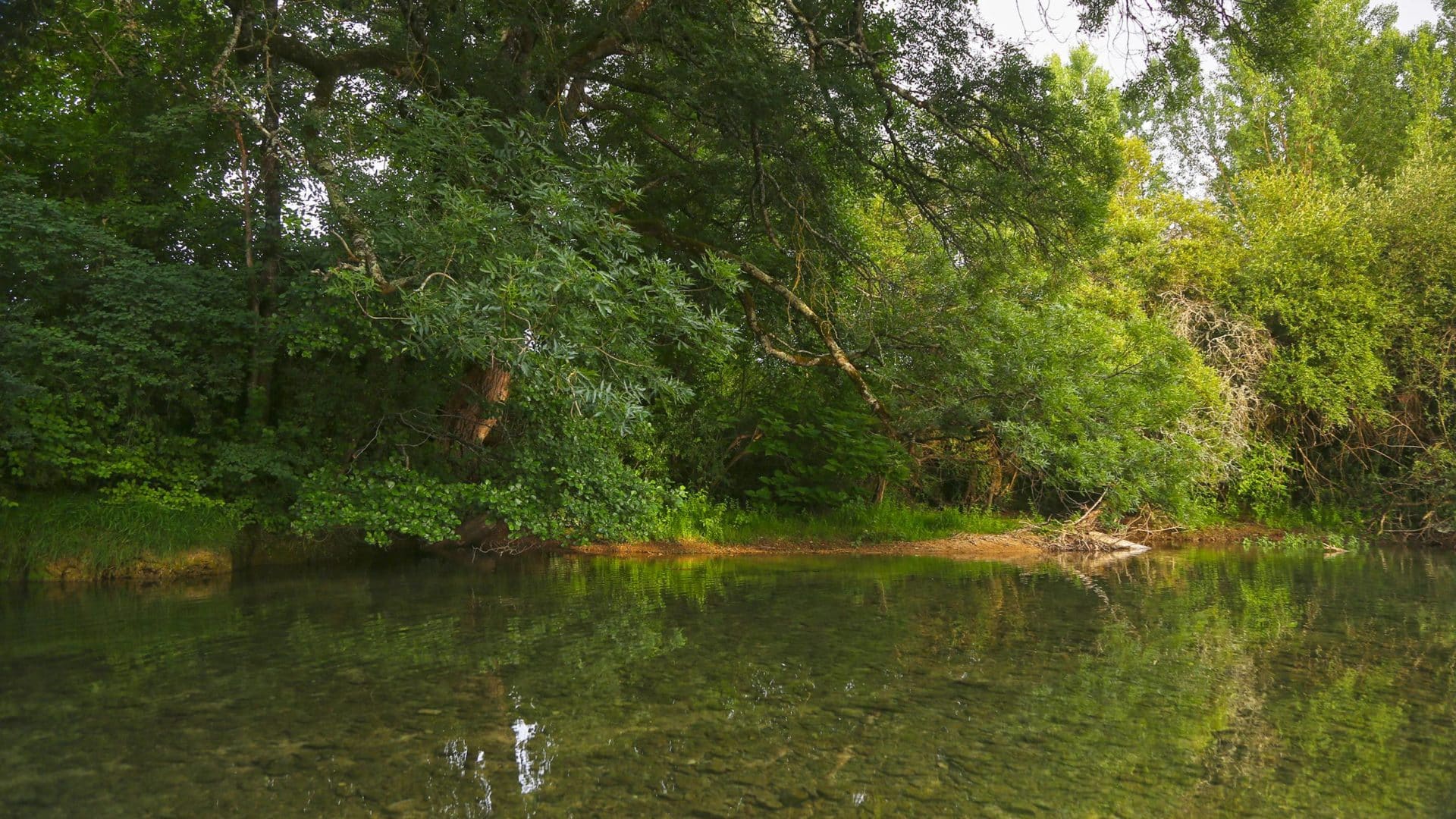 Le camping 4 étoiles Le Moulin de Paulhiac, un camping nature en bord de rivière Le Céou au cœur de la Dordogne.